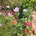 Отель Provencal Вильфранш-сюр-Мер